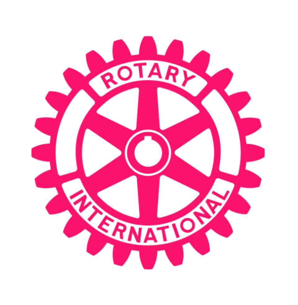 Rotary Pin designs-2
